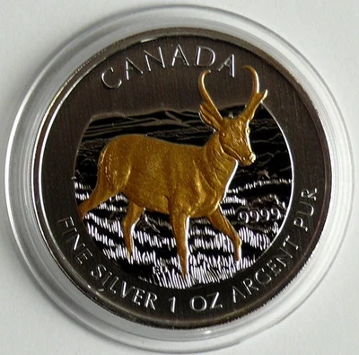Kanada 5 Dollars 2013 Maple Leaf - Antilope, Gilded, 1 Oz Silber - Bild 1 von 2