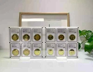 12 Grids Colored Display Frame Box Showcase with Stand For NGC/PCGS Holders - Picture 1 of 9