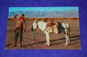 Vintage 1955 Chrome Postcard of Bad Water Bill, a Western Prospector & his Mule - Picture 1 of 2