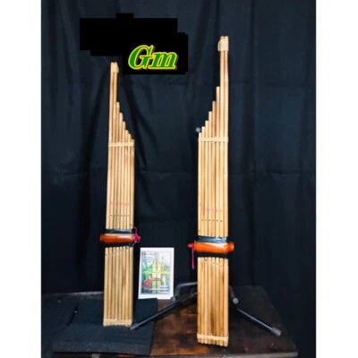 Thai Khaen Bambú Isan Laos Boca Órgano Folk Instrumento Musical Tradicional GM Foto 1 de 4