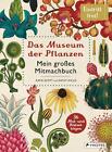 Das Museum der Pflanzen. Mein Mitmachbuch - Katie Scott -  9783791372921