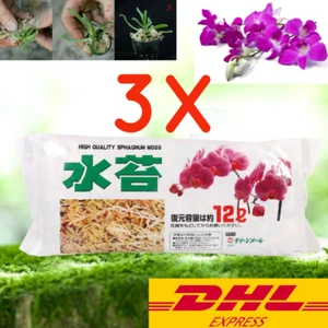3XPremium Sphagnum Moos Phalaenopsis Orchideenwurzel gesünder12L. - Bild 1 von 6