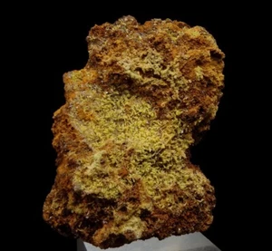 MIMETITE - nice yellow crystals !!! --- MEXICO - Durango - OJUELA MINE /ks359 - Picture 1 of 15