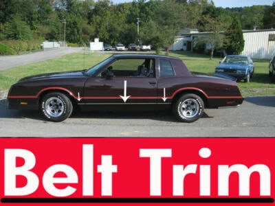For Chevy MONTE CARLO Z34 Flexible Chrome Body Side Molding Trim Kit 1981-1988 - Image 1 of 4