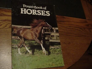 POSTER BOOK OF HORSES BY COLOUR LIBRARY INTERNATIONAL 20 POSTERS - Picture 1 of 12