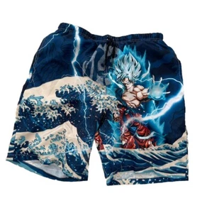 Hero Kids Boy's Size 16 Blue Power Of The Universe Swim Shorts Swimwear - Picture 1 of 8