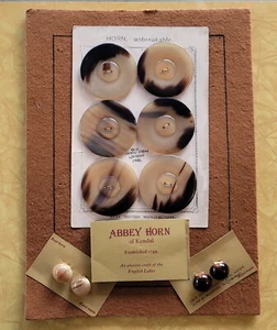 Knöpfe Abtei Horn von Kendal und Schmuck Vintage Ohrringe Blatt Pin - Bild 1 von 5