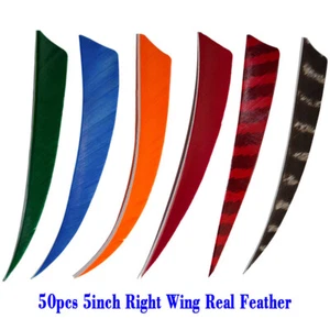 5" Turkey Feathers Right Wing DIY Arrow Shaft Handmade Fletching Arrows 50-PACK - Picture 1 of 23