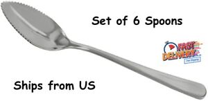 Grapefruit Spoon Serrated Stainless Steel Dessert Spoon Serrated Edge Set of 6