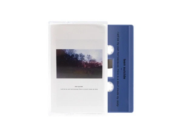 Teen Suicide ‎– I Will Be My Own Hell CASSETTE TAPE - SEALED NEW EMO PUNK Foto 1 de 1