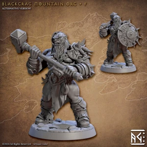 Mountain Orc F - Fighter / Barbarian - Artisan Guild - Dungeons and Dragon - Picture 1 of 1
