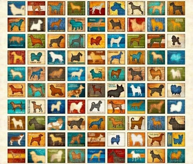 Cachorro Perro Razas Animales Bloques Tela Algodón Crudo QT Must Love Perros Panel 35" Foto 1 de 1