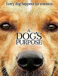 A Dog's Purpose (DVD, 2017)