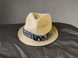 American Eagle Womens Hat One Size Brown Straw Fedora Ribbon Casual - Picture 1 of 8