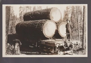 McCloud CALIFORNIA RPPC c1915 LOGGING Giant Logs LUMBER Lumberjack nr Mt. Shasta - Picture 1 of 2