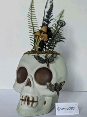 Target Halloween Skull Midnight Forest Planter Hyde & Eek  Mushroom Moths Ferns - Image 1 of 4