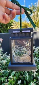 Succullent Lantern - Picture 1 of 6