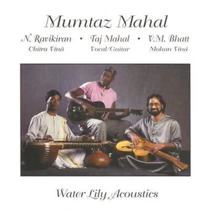 Mumtaz Mahal Vishwa Mohan Bhatt - Picture 1 of 2