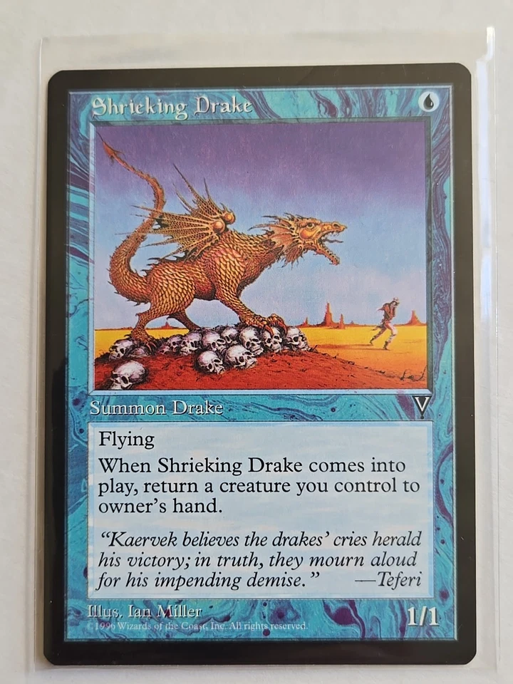 Shrieking Drake - Visions - LP - MTG Magic - Common - Creature - Image 1 of 1