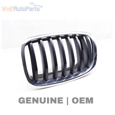 BMW X5 2012-2013 - capó izquierdo / rejilla de riñón 7305591 Foto 1 de 4