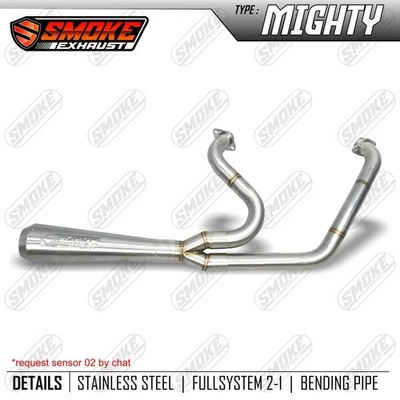 2000-2006 Exhaust Harley-Davidson Softail Standard FXST 2 into 1 Full System — 第 1/4 张图片