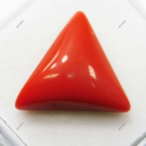 8 Ct Natural Italian Red Coral Loose Gemstone Cabochon Trillion Cut - Picture 1 of 5