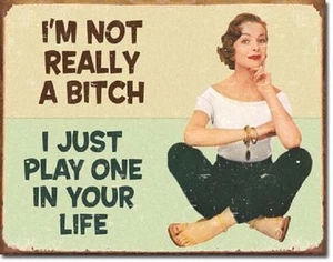 Ephemera I'm Not A Bitch Just Play One In Life Humor Funny Retro Metal Tin Sign - Picture 1 of 1
