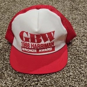 VTG Green Bay Western Railroad 1988 Harriman Bronze Award Snapback Trucker Hat - Picture 1 of 5