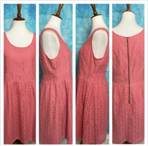 Loft Women’s 10 A Line Pink Lace Dress Knee Length Lined Zip Sleeveless - Picture 1 of 7