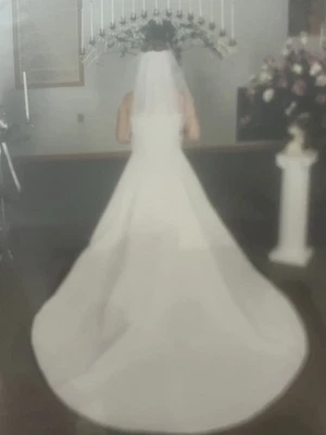 Vestido de novia colección Ginza de dos piezas con velo talla 12 blanco/marfil Foto 1 de 4