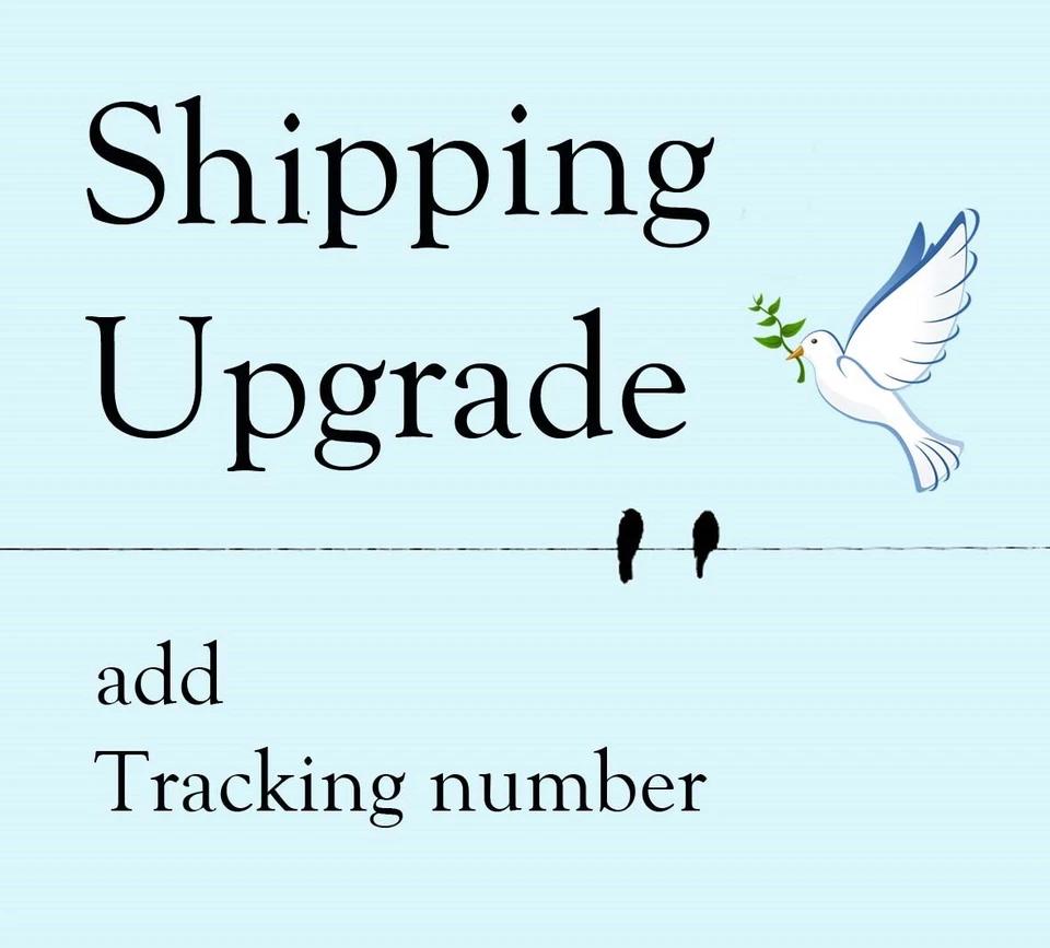 Shipping Upgrade to First Class Package with Tracking number - Image 1 of 1