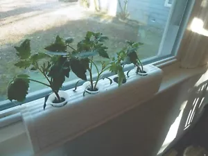 Sistema de cultivo hidropónico completo Kratky contenedor jardinería ENVÍO GRATUITO - Imagen 1 de 9
