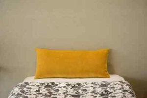 Throw lumber Pillow Covers Sofa Decor Velvet Cushion Cases Premium Cushion Cover - Picture 1 of 14