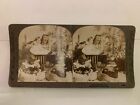 1894 The Children's Pets E.W. Kelly Stereoview