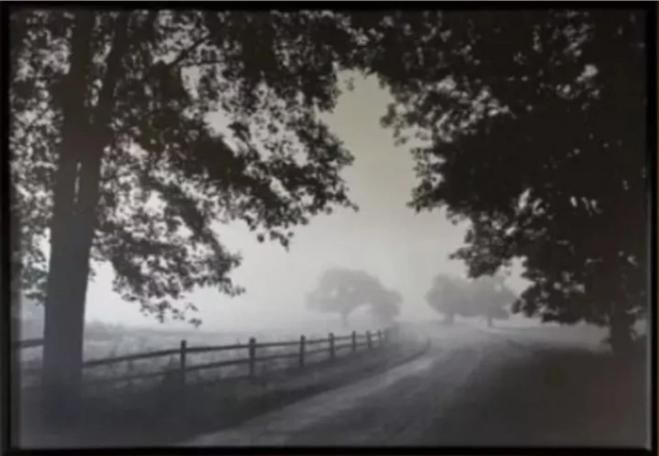 IKEA BJORKSTA Misty Country Road 78 ¾ x 55 " (Frame Not Included) 305.004.83 - Image 1 of 1