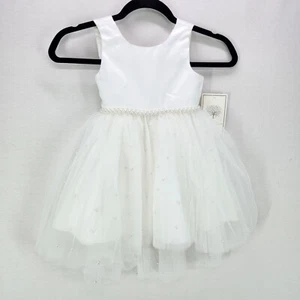 Couture Princess Tutu Dress Toddlers 4 Communion Pearls Satin Ivory - Picture 1 of 18