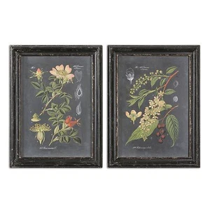 Black Botanical Floral Prints Art | Vintage Antique Style Flower Wall Art - Picture 1 of 2