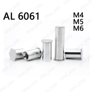 Aluminio 6061 Remaches de orificio ciego Tuercas de columna Hex Head M4 M5 M6 - Imagen 1 de 6