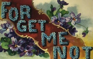 1911 Forget Me Not Embossed Postcard VanBuren Indiana Posted with Stamp - Bild 1 von 4