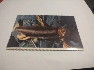 Vintage Fur Bearing Trout Post Card / Vintage Hoax - Picture 1 of 3