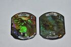 2 Wurm Lifelink & Deathtouch Ultra Pro MTG Relic Tokens Lineage Collection FOIL