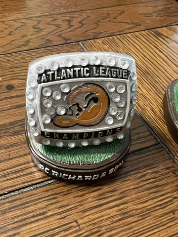 Rare 2012 LI Long Island Ducks Baseball Atlantic League Champions Replica Ring Cover