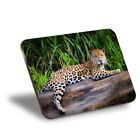Placemat Cork 290X215 - Resting Jaguar Cat Jungle Animal #21730