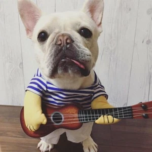 Funny Pet Cosplay Clothes Guitarist Player Suit Dog Puppy Cat Costume Halloween - Picture 1 of 18