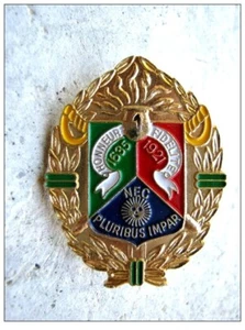 INSIGNE LEGION ETRANGERE CAVALERIE 1° REC EN DORE ETAT EXCELLENT 40MM X 30MM - Bild 1 von 1