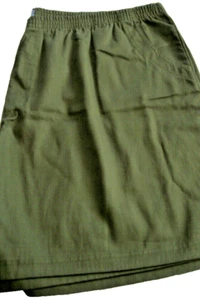 Ladies Plus Twill Shorts  Green Size 2X Cotton New - Picture 1 of 1