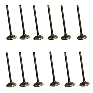 1KR-FE Racing Valves Full Set - Picture 1 of 3