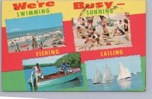 We're Busy Swimming, Sunning, Fishing, Sailing, Vintage 1974 Multiview Postcard - Picture 1 of 2