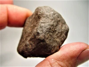 ¡GRAN OFERTA! ¡PIEDRA SENSACIONAL! TASSEDET 004 IMPACTO FUNDIDO DE NIGER! 74,9 GMS - Imagen 1 de 6