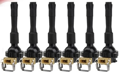 Bobinas de encendido de 6 piezas para BMW 323i 325i 328i 330i 525i 528i 530i M3 M5 Foto 1 de 4